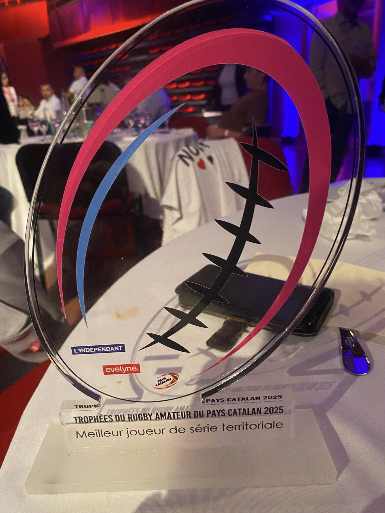 Trophée du Meilleur joueur de série territoriale - Jérémy Le Gal (US Millas)